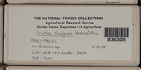 Image Associated With the Occurence